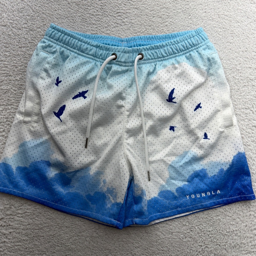 YoungLA 141 Cloud Mesh Shorts Blue White Sky Bird Print Mens Small YLA2078
